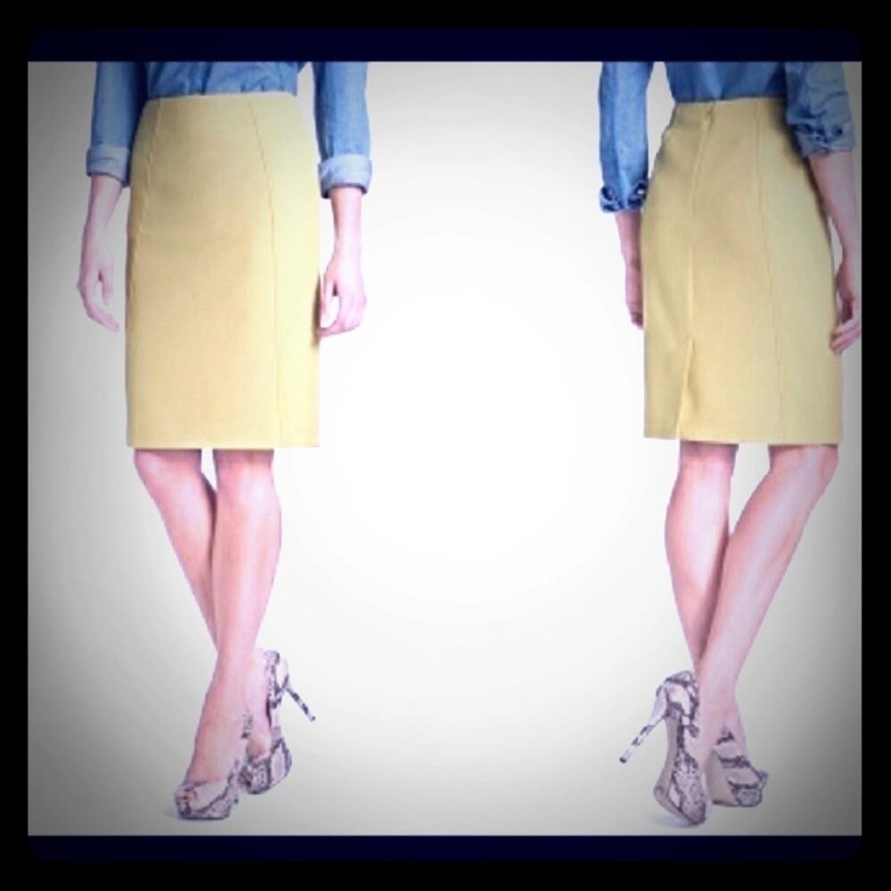 Adopt a Nobel Look Wearing this Halogen Skirt sz 0